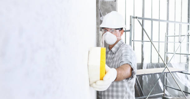 Best Basement Mold Removal  in Lonaconing, MD