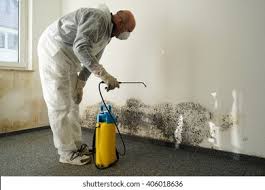 Best Environmental Consulting for Mold Prevention  in Lonaconing, MD